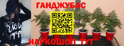 a pvp Гусиноозёрск